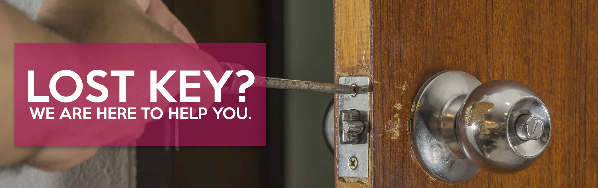 logo-image - banner-n17-sli-001